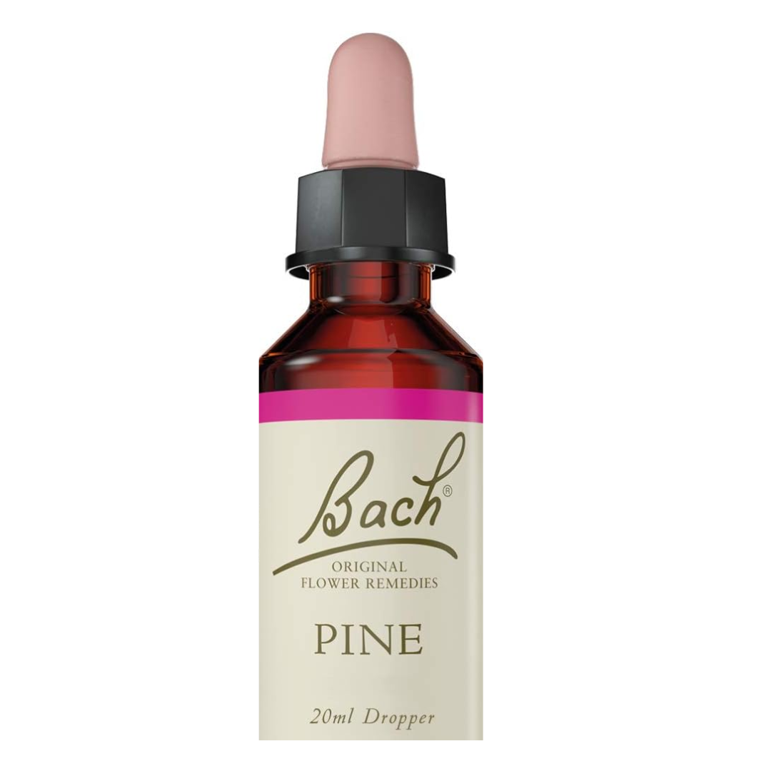 Bach Flower Remedy Pine Essence for Emotional Wellness