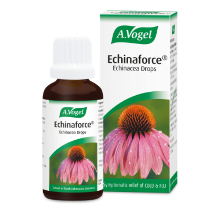 Echinaforce Echinacea Drops 15ml